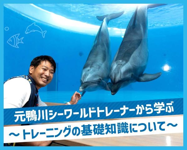元鴨川シーワールドトレーナーから学ぶ～トレーニングの基礎知識について～／ＴＣＡ東京ＥＣＯ動物海洋専門学校