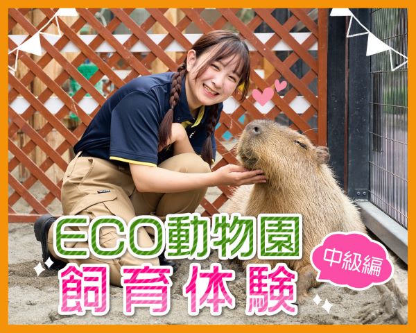 ECO動物園飼育体験【中級編】／ＴＣＡ東京ＥＣＯ動物海洋専門学校