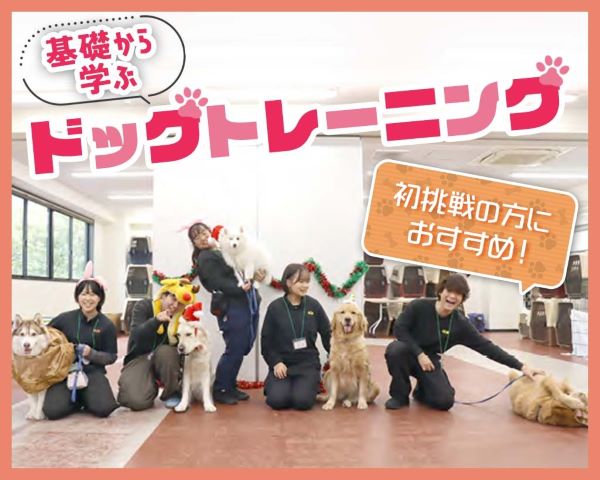 初挑戦の方におすすめ！基礎から学ぶドッグトレーニング／ＴＣＡ東京ＥＣＯ動物海洋専門学校