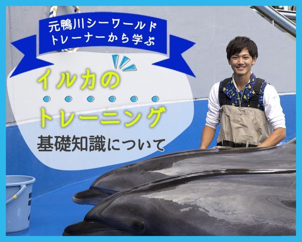 ＴＣＡ東京ＥＣＯ動物海洋専門学校