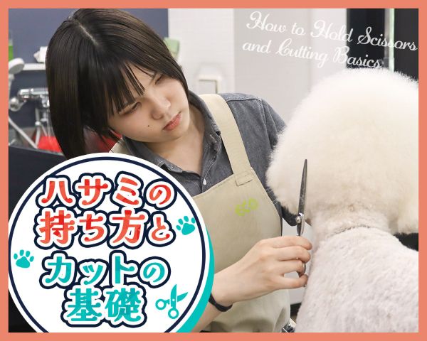 ＴＣＡ東京ＥＣＯ動物海洋専門学校