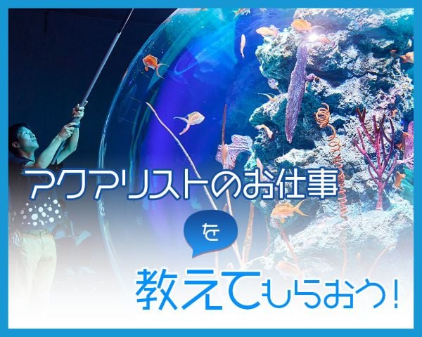 アクアリストのお仕事を教えてもらおう！／ＴＣＡ東京ＥＣＯ動物海洋専門学校