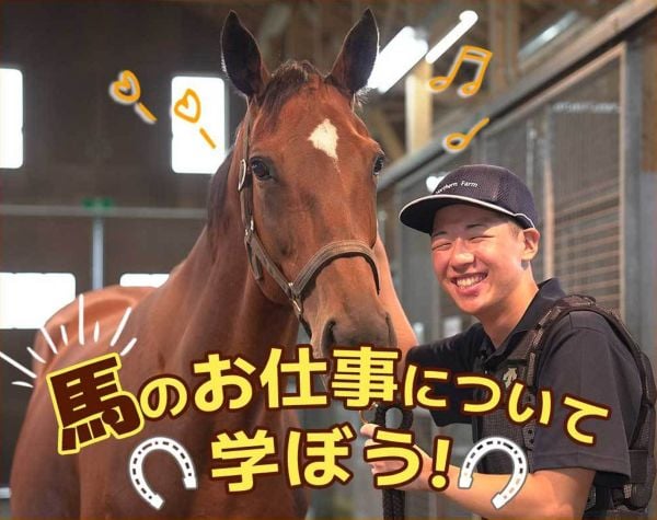 馬のお仕事について学ぼう！／ＴＣＡ東京ＥＣＯ動物海洋専門学校
