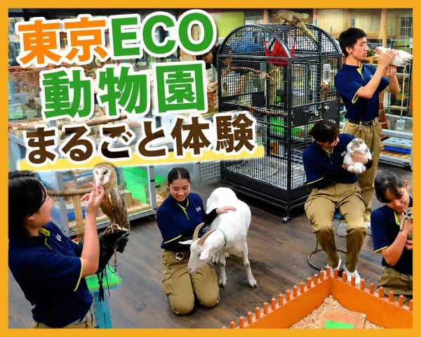 東京ECO動物園まるごと体験／ＴＣＡ東京ＥＣＯ動物海洋専門学校