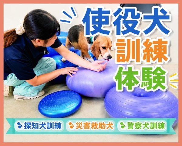 ＴＣＡ東京ＥＣＯ動物海洋専門学校
