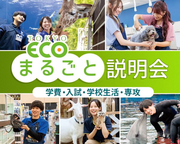 東京ECOまるごと説明会／ＴＣＡ東京ＥＣＯ動物海洋専門学校