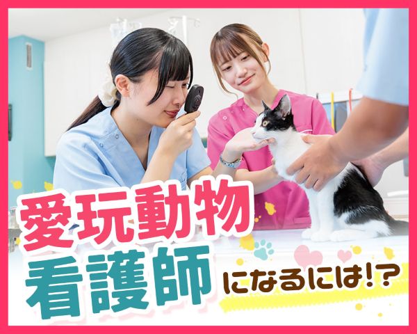 愛玩動物看護師になるには／ＴＣＡ東京ＥＣＯ動物海洋専門学校