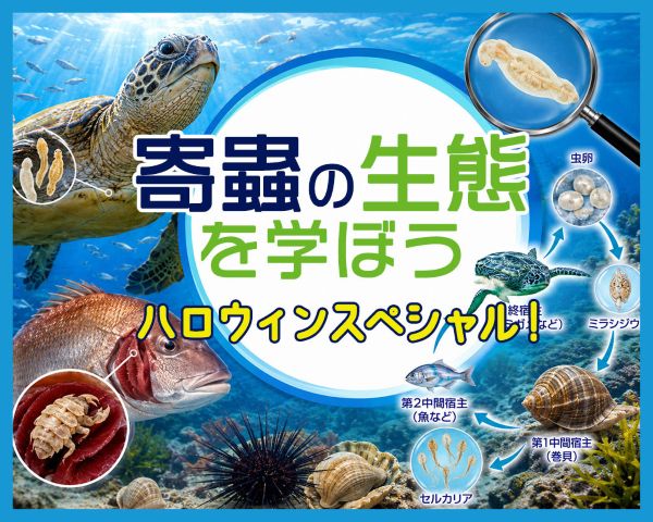 ハロウィンスペシャル！寄蟲の生態を学ぼう／ＴＣＡ東京ＥＣＯ動物海洋専門学校