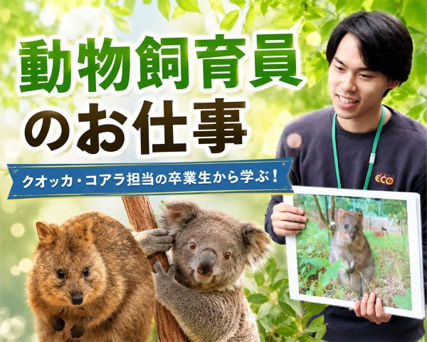 クオッカ・コアラ担当の卒業生から学ぶ！動物飼育員のお仕事／ＴＣＡ東京ＥＣＯ動物海洋専門学校
