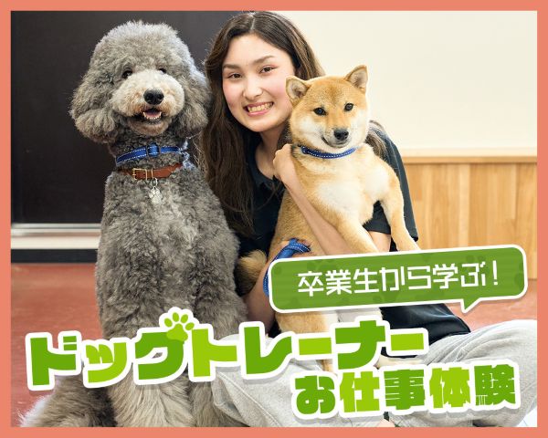 ドッグトレーナーお仕事体験／ＴＣＡ東京ＥＣＯ動物海洋専門学校
