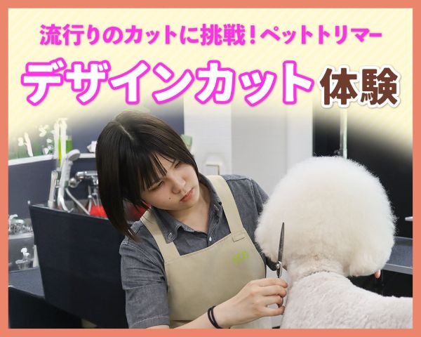 流行りのカットに挑戦！ペットトリマーデザインカット体験／ＴＣＡ東京ＥＣＯ動物海洋専門学校