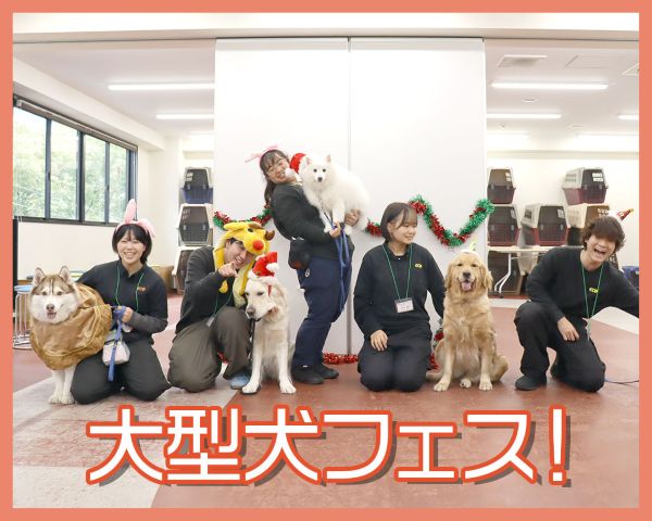 大型犬フェス！／ＴＣＡ東京ＥＣＯ動物海洋専門学校