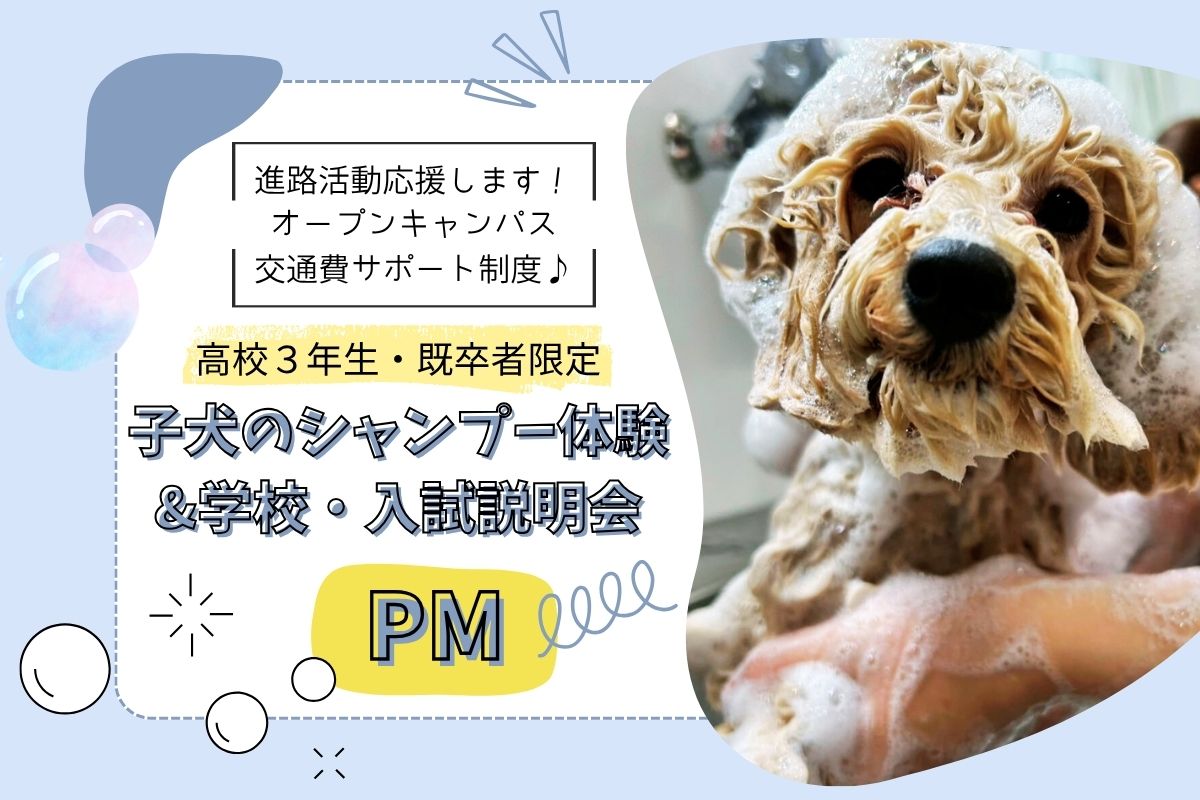 横浜動物専門学校