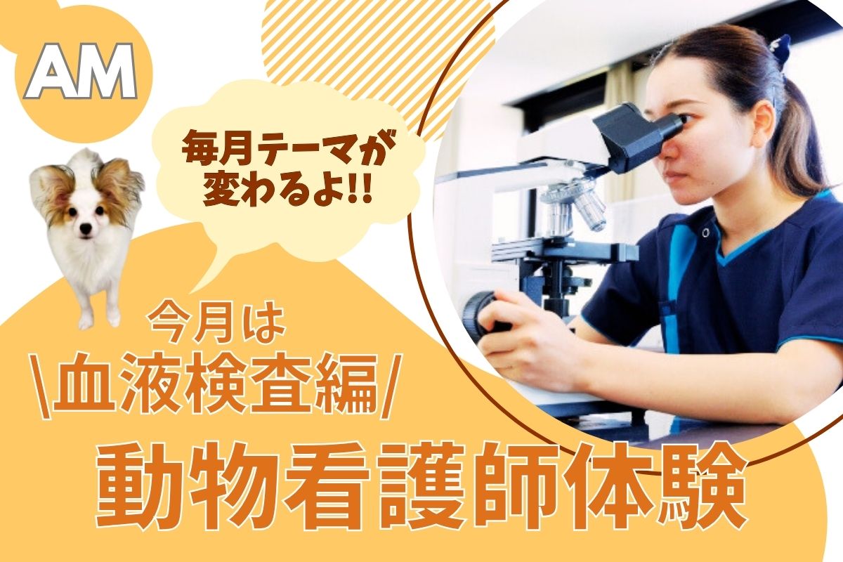 横浜動物専門学校