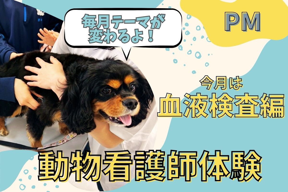 横浜動物専門学校