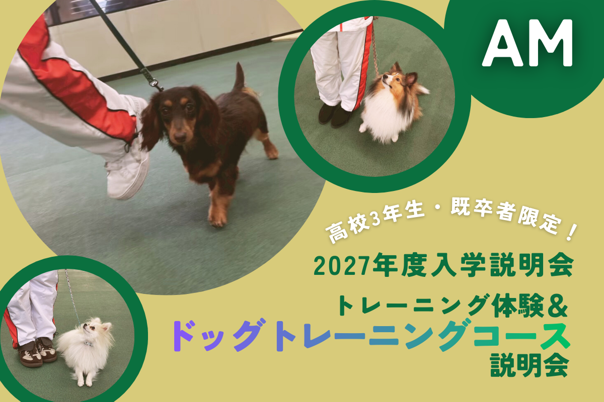 横浜動物専門学校
