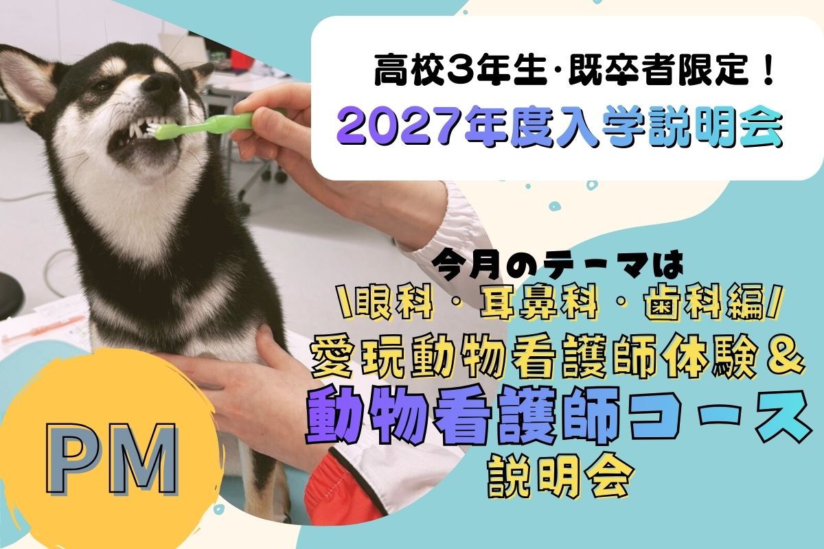 横浜動物専門学校