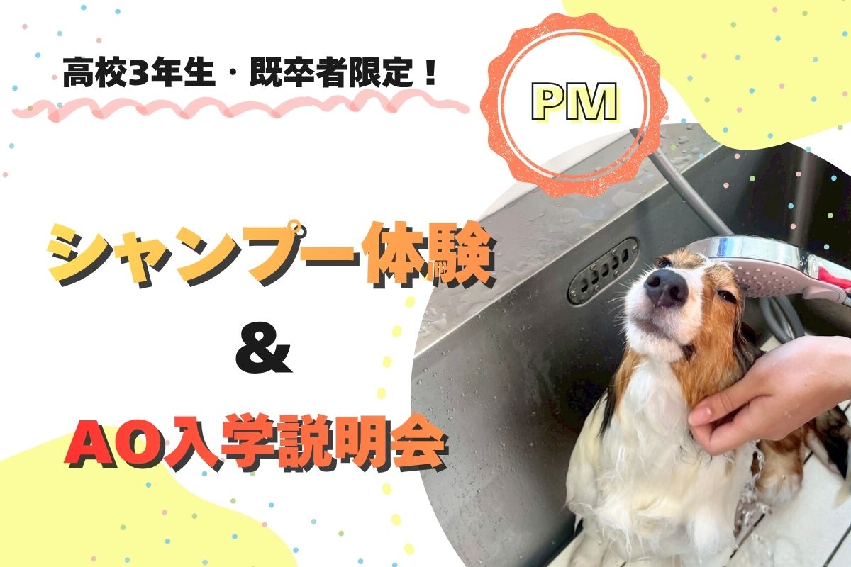 横浜動物専門学校