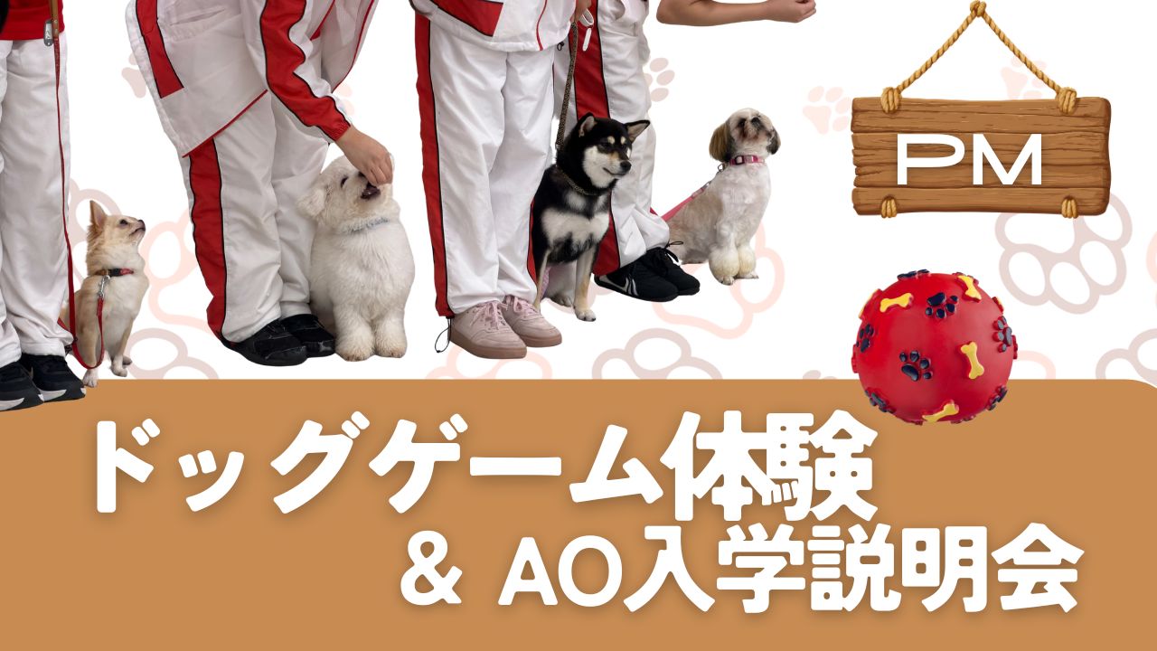 横浜動物専門学校