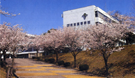 沼南高等学校