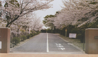 緑丘高等学校