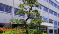 豊島高等学校