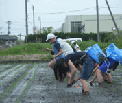 新潟県 味方(あじかた)小学校 5年生のみなさん2