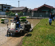 三重県 明野高校 生産科学科作物専攻の3年生のみなさん4