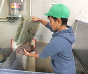 静岡県 御前崎市立御前崎小学校 5年生のみなさん2