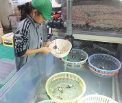 静岡県 御前崎市立御前崎小学校 5年生のみなさん3