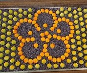 福岡県　福岡農業高校　食品科学科梅研究班のみなさん4