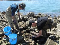 宮城県 志津川高校 自然科学部のみなさん3