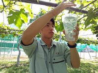 広島県　吉田高校　アグリビジネス科のみなさん2