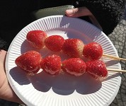 茨城県　取手松陽高校　生徒会のみなさん4