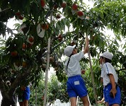 新潟県 刈羽村立刈羽小学校 6年生のみなさん3
