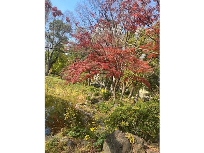 東海学園大学のcampusgallery