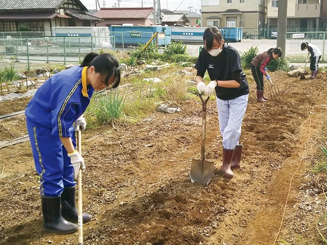 日本栄養大学の部活