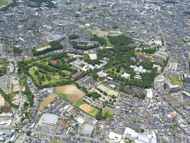 麗澤大学の部活