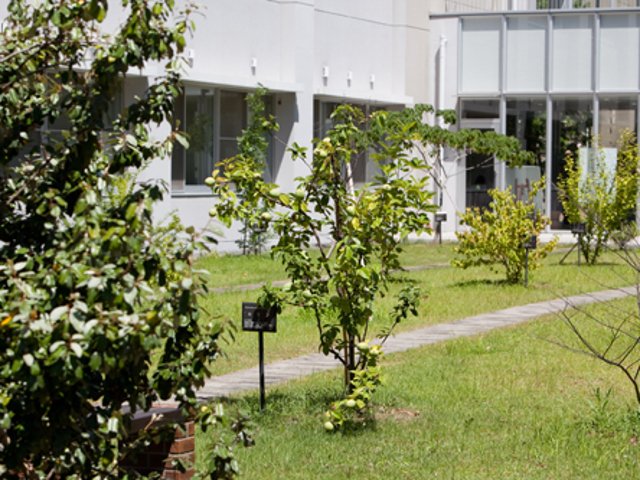 長崎国際大学のcampusgallery