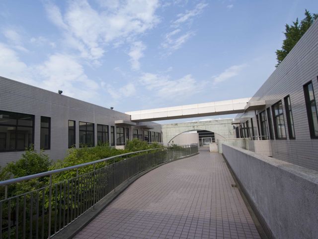 嘉悦大学