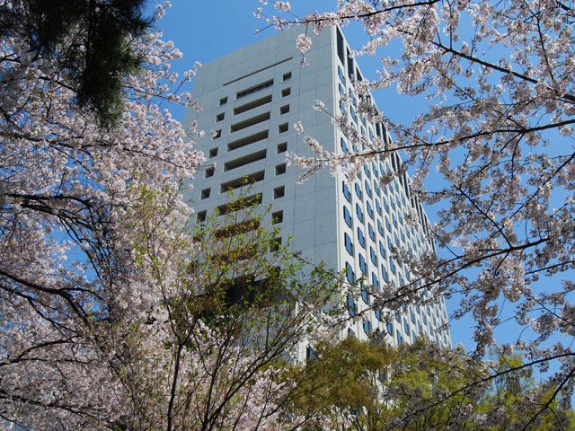 上智大学のcampusgallery