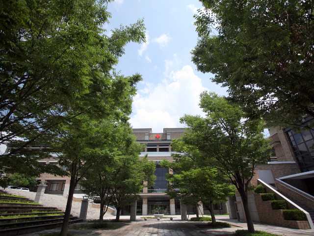 【並木道】季節によって表情を変える並木の景色は、そこを通る学生たちの楽しみのひとつです。