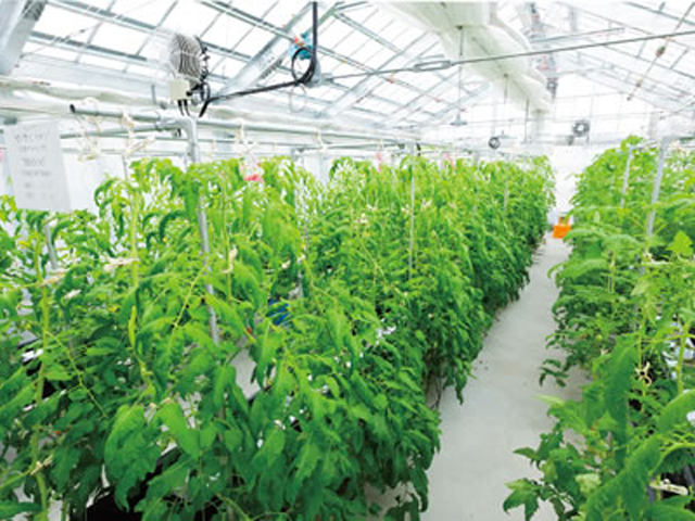 新潟食料農業大学の施設・環境