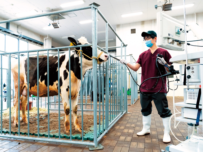 産業動物臨床教育センター（LAVEC）