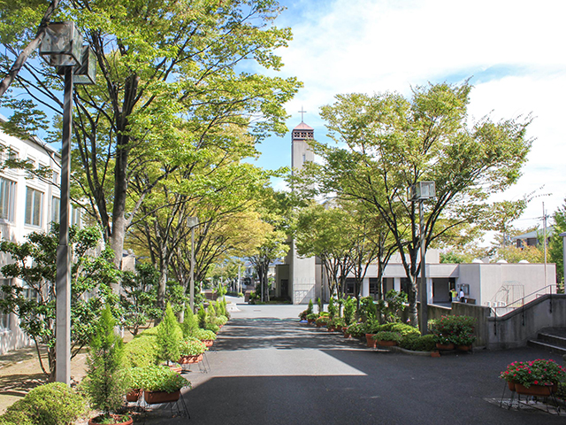 閑静な住宅街に囲まれた緑の美しいキャンパスです。