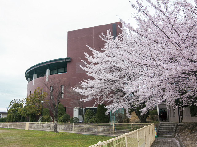 桜花学園大学の図書館