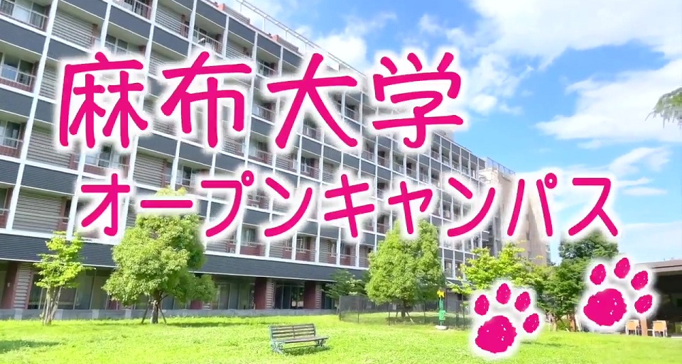 麻布大学の紹介動画