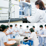保健栄養学科