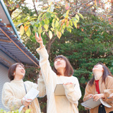 現代教養学科