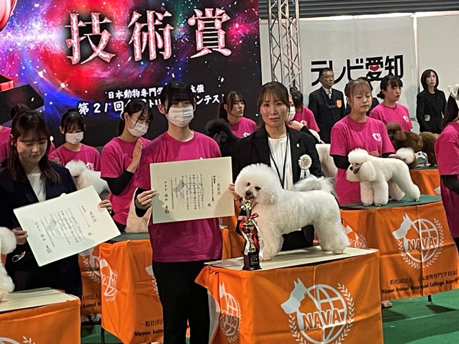 全国トリミングコンテストでは技術賞を獲得